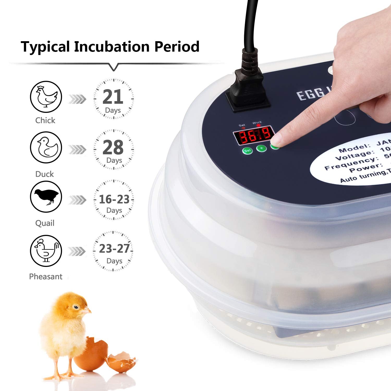 Egg Incubator, HBlife 9-12 Digital Fully Automatic Incubator for Chicken Eggs, Poultry Hatcher for Chickens Ducks Birds
